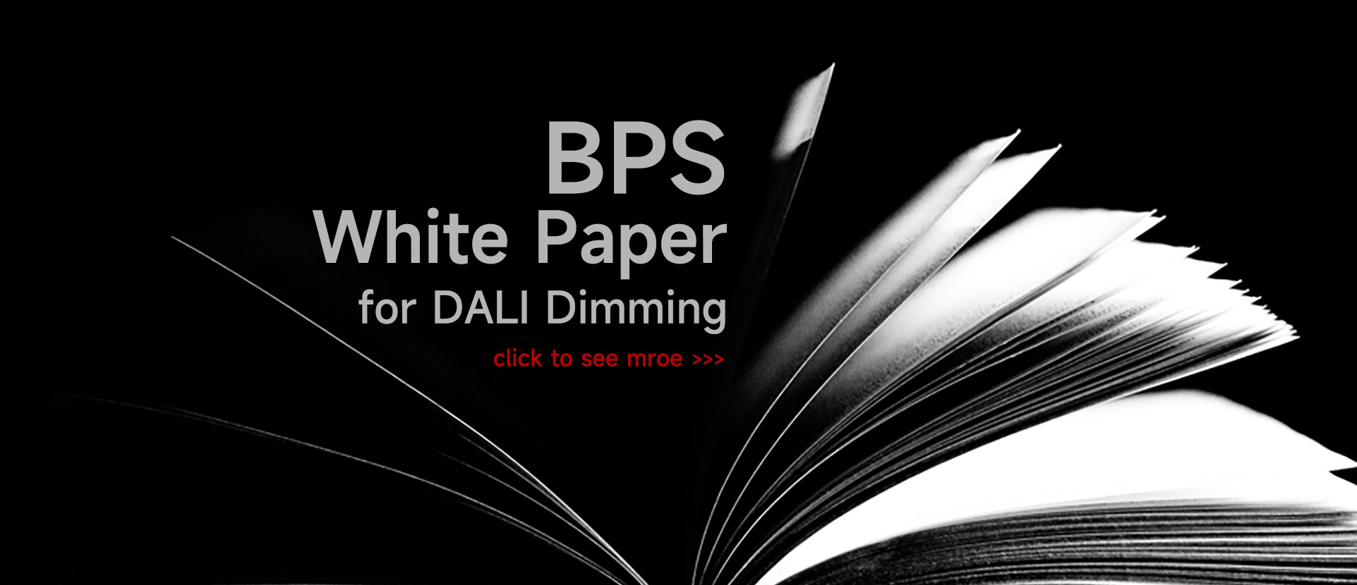 球王会(中国游)官方网站